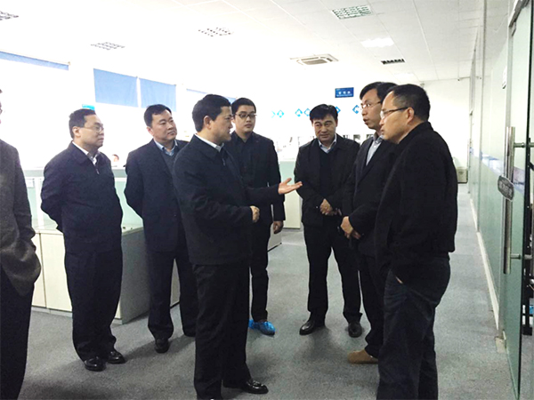 宿州市政府来我司视察